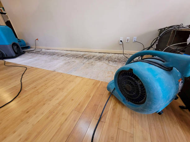 Professional Ceiling Water Damage Repair technician working in Clearfield, PA