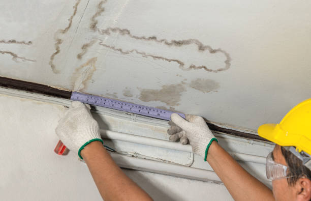 Affordable Ceiling Water Damage Repair solutions in Clearfield, PA
